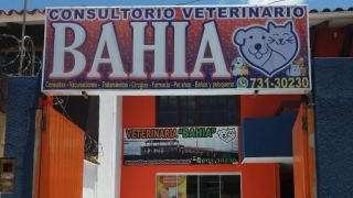 clinicas veterinarias en santa cruz Veterinaria 