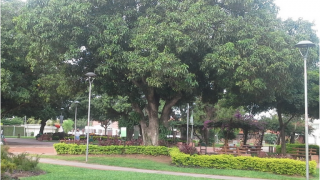 parques con barbacoas en santa cruz PARQUE HAMACAS