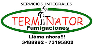 desinfeccion cucarachas santa cruz Terminator Fumigaciones